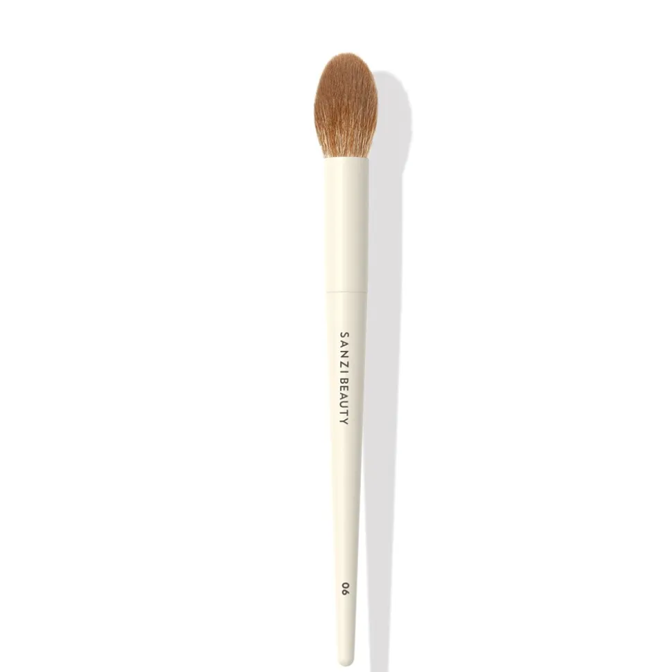 06 Highlighter Brush
