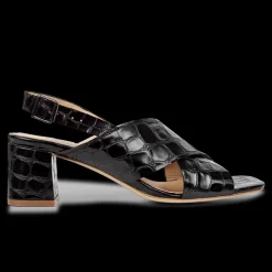 5568-101 Sandal, Black Croco, 38