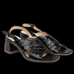 5568-101 Sandal, Black Croco, 38