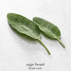 Acqua Di Giò Eau De Parfum, 100 ml