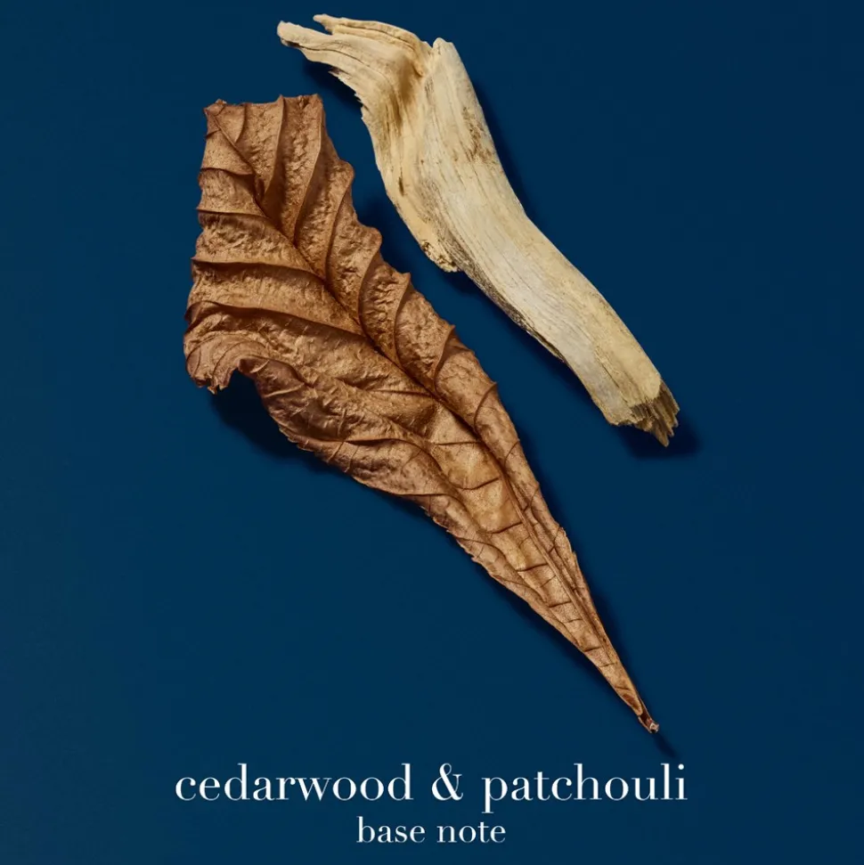 Acqua Di Giò Profondo Eau De Parfum, 30 ml