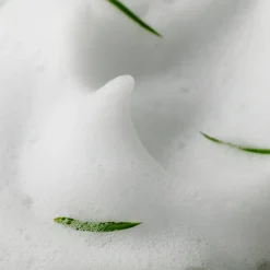 AHA BHA PHA 30 Days Miracle Clear Foam, 100 ml