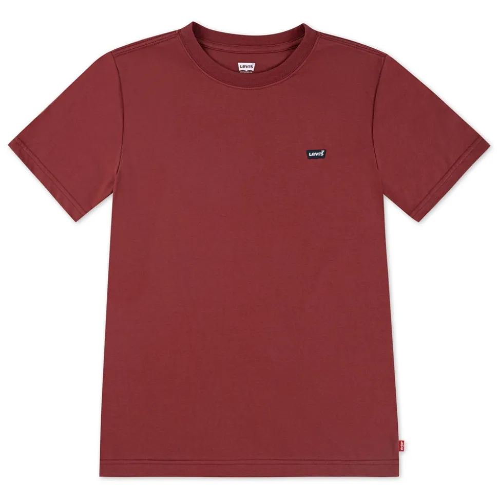 Batwing Chest T-shirt, Red Pear, 6 år