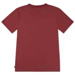Batwing Chest T-shirt, Red Pear, 6 år