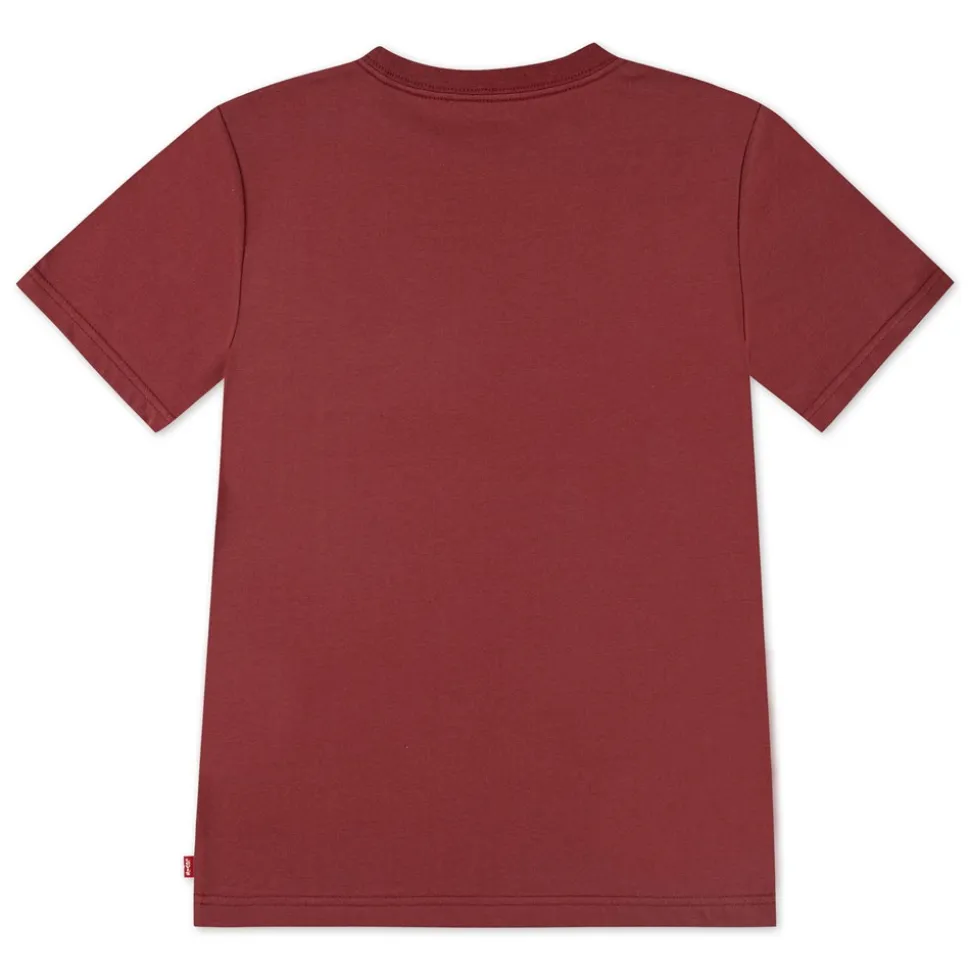 Batwing Chest T-shirt, Red Pear, 6 år