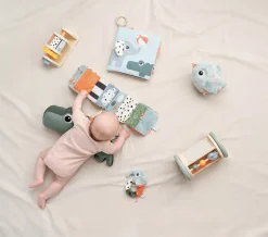 Birdee Aktivitets- & Rullespejl