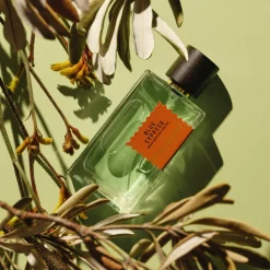 Blue Cypress Perfume, 100 ml