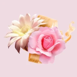 Boss Ma Vie Eau De Parfum, 50 ml