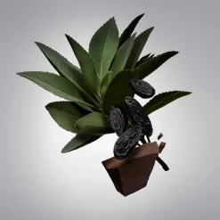 Boy Deodorant Stick, 75 ml