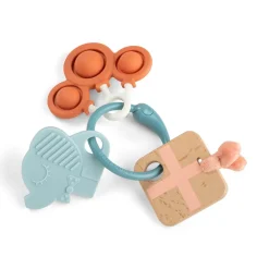 Celebration Sanse- & Aktivitetsring