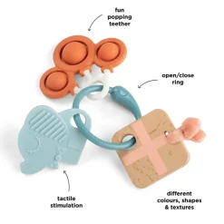 Celebration Sanse- & Aktivitetsring