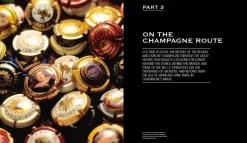 Champagne Wine Of Kings And the King of Wines