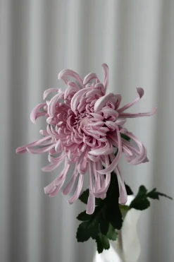 Chrysanthemum Kunstig Blomst, Purple
