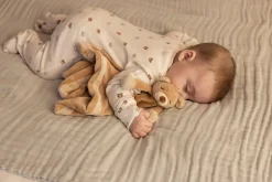 Diinglingsar Nusseklud, Brun