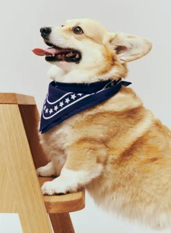 Dog Hundetørklæde, Dark Blue