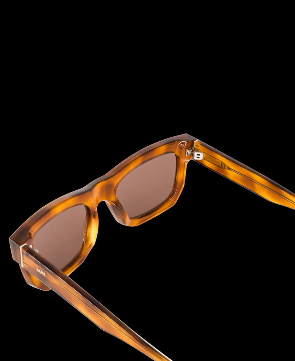 Don Solbriller, Brown/Havana