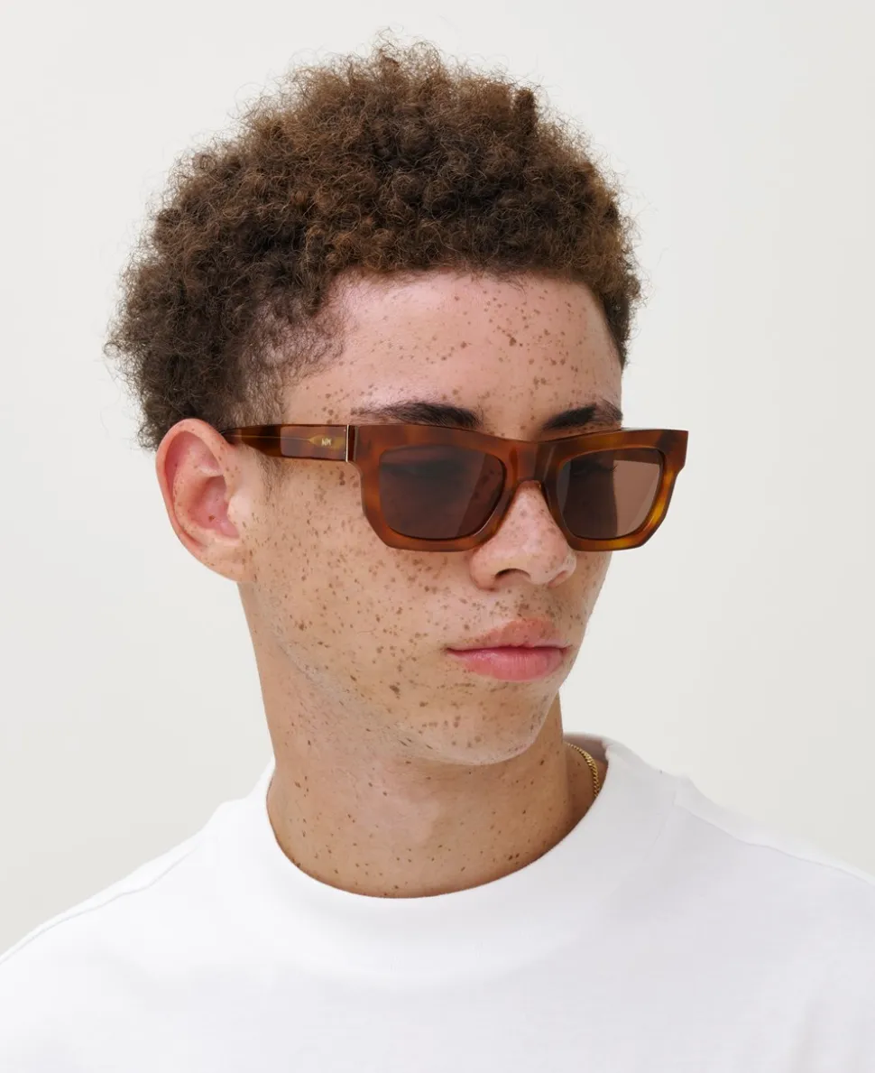 Don Solbriller, Brown/Havana