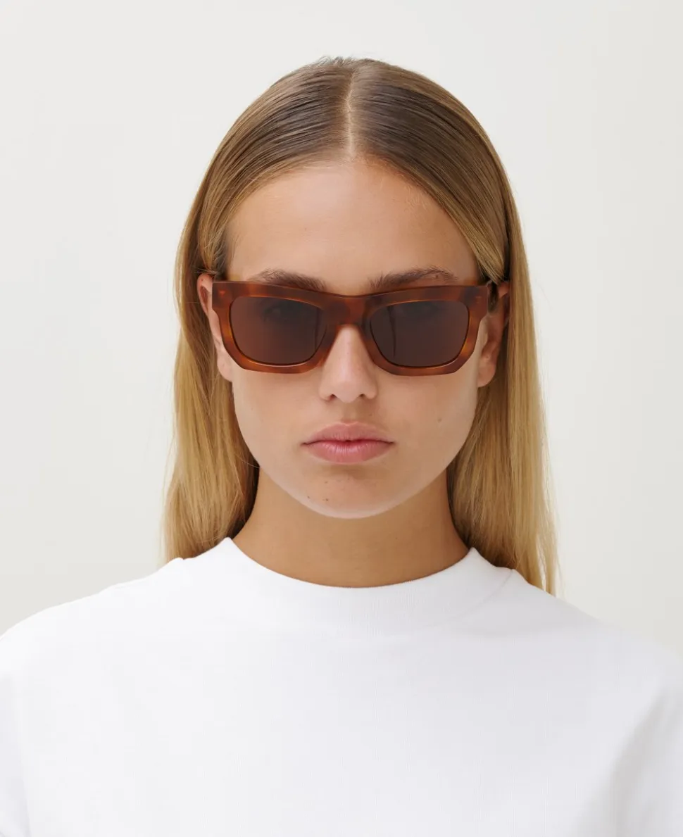 Don Solbriller, Brown/Havana