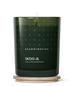 Duftlys, SKOG
