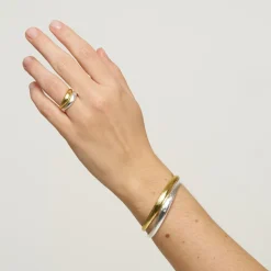 Echo Ring, Mix Silver/Gold, 54