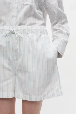 Enpau Shorts, Brindle-Blue Stripe, 40