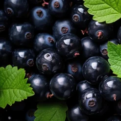 Eros Homme Energy Deo Stick, 75 ml