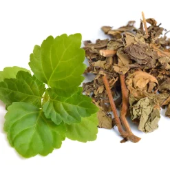 Eros Homme Energy Eau De Parfum, 50 ml