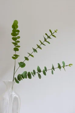 Eucalyptus Kunstig Blomst, Green