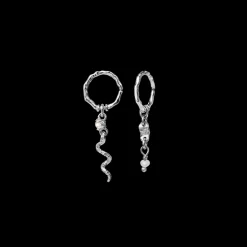 Evelyn Øreringe, Sølv