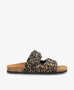 Fiona Sandaler, Leopard, 42