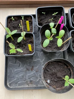 Footwear Skobakke, Black, 28x38 cm