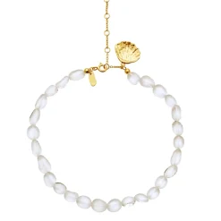 Fortuna Ankelkæde, Gold Plated, 23+5 cm