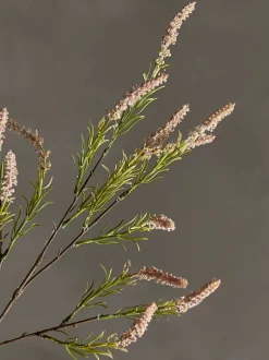 Foxtail Kunstig Stilk, Rosa