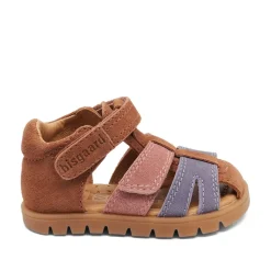 Frans Sandaler, Rose, 26