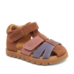 Frans Sandaler, Rose, 26