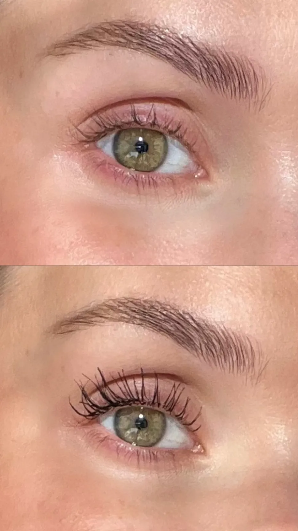 Grand Danois Mascara, Black