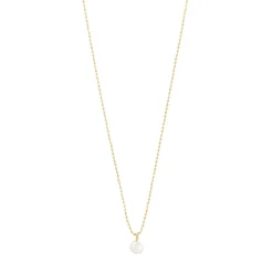 Hadley Halskæde, Gold Plated, 40+9 cm