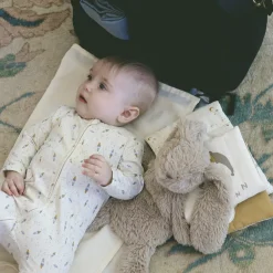 Houston Stor Kanin Tyngdebamse, Bunny