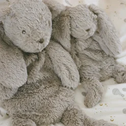 Houston Stor Kanin Tyngdebamse, Bunny