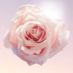 Idôle Eau De Parfum, 25 ml