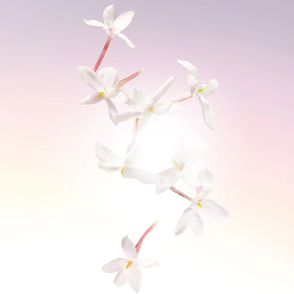 Idôle Eau De Parfum, 25 ml