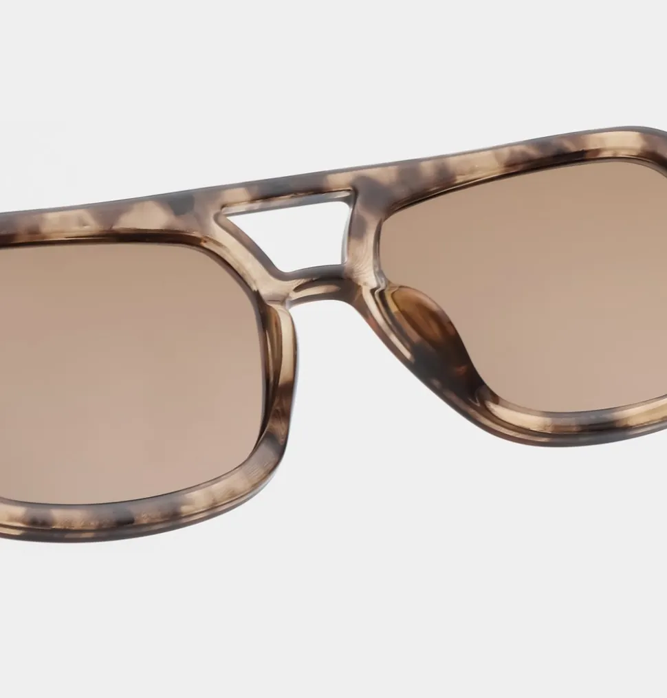 Kaya Solbriller, Coquina