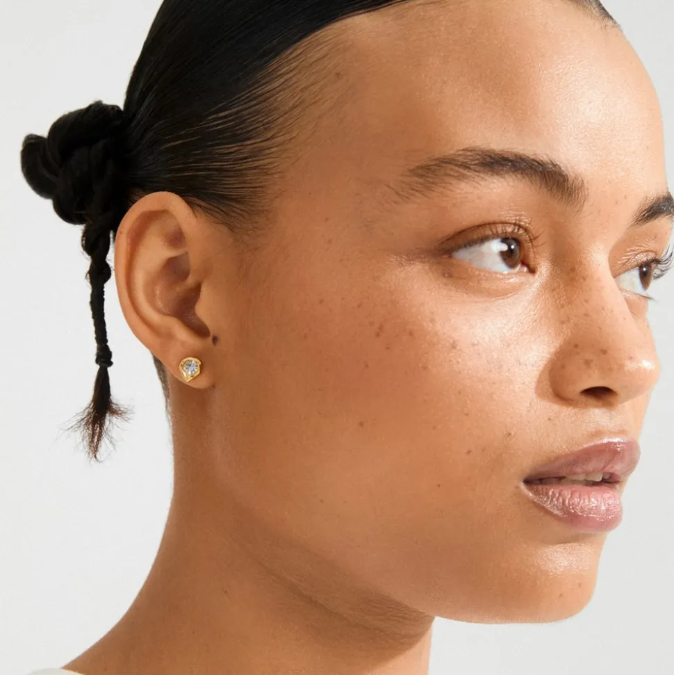 Kota Øreringe, Gold Plated