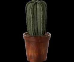 Krukke Med Kaktus, Grøn