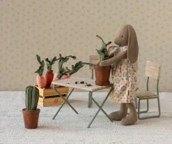 Krukke Med Kaktus, Grøn