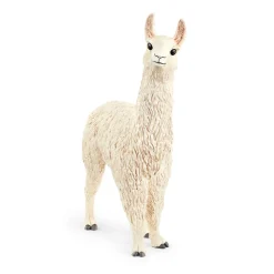 Lama