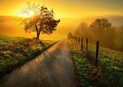 Landscape In Morning Sun Puslespil