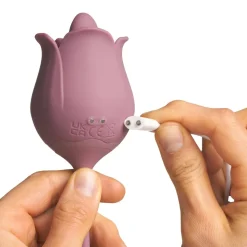 Licking Rose og Vibrerende Æg