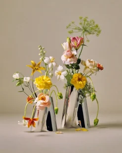 Lituus Vase, Stainless Steel