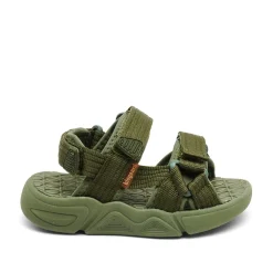 Louis Sandaler, Olive, 36